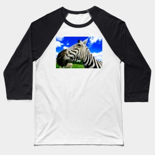 Wide Angle Zebra Baseball T-Shirt